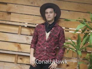 Conall_Hawk