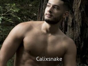 Calixsnake