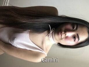 Camini