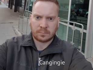 Cangingie