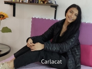Carlacat
