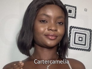 Cartercamelia