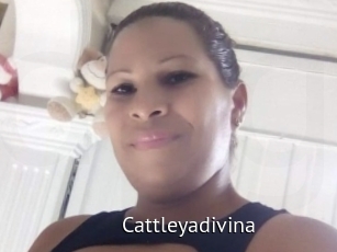 Cattleyadivina