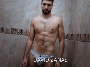 DAVID_ZANAS