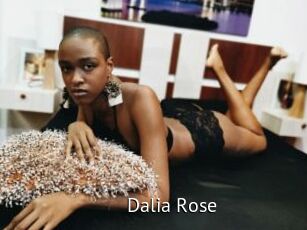 Dalia_Rose