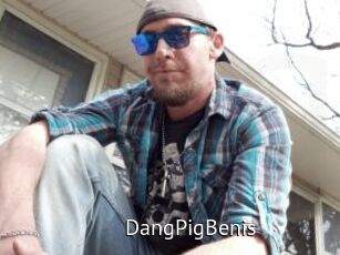 DangPigBenis