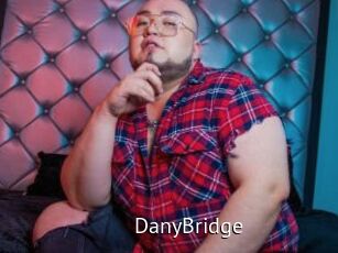 DanyBridge