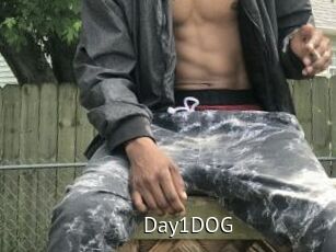 Day1DOG