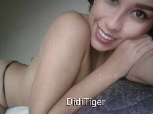 DidiTiger