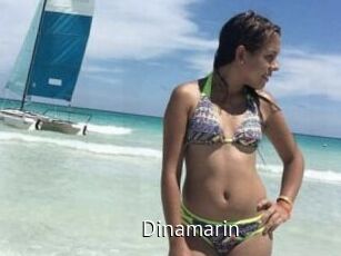 Dinamarin