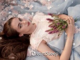 DreamSleep