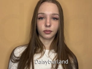 Daisyburland