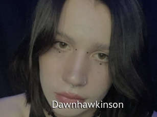 Dawnhawkinson