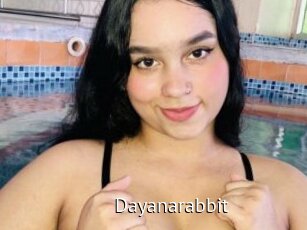 Dayanarabbit