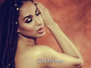 Didiflower