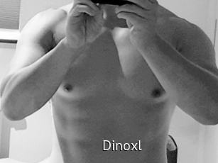 Dinoxl