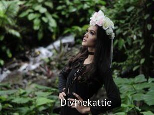 Divinekattie