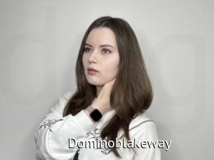 Dominoblakeway