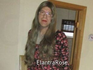 Elantra_Rose