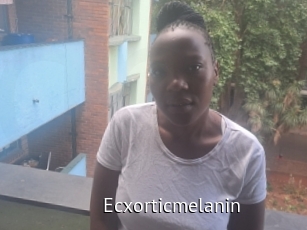 Ecxorticmelanin
