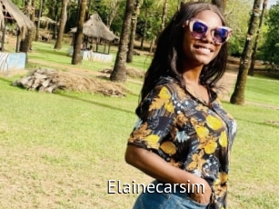 Elainecarsim