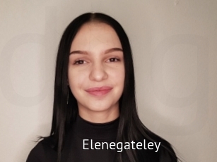 Elenegateley