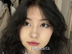 Elgacarls