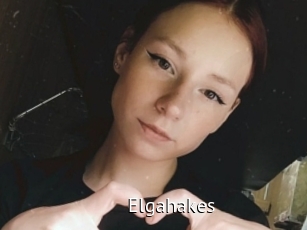 Elgahakes