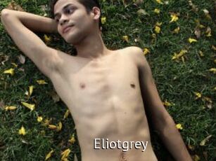 Eliotgrey