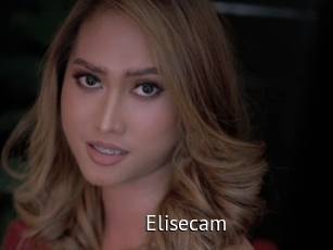 Elisecam