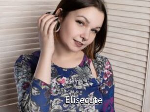 Elisecute