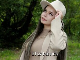 Elizabarnes
