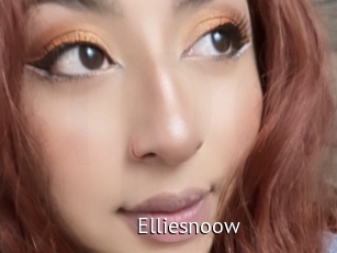 Elliesnoow