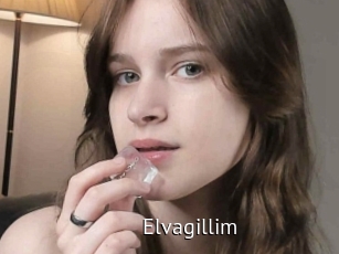 Elvagillim