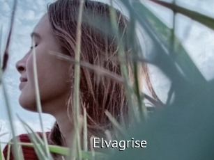 Elvagrise