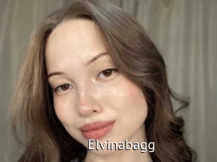 Elvinabagg