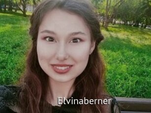 Elvinaberner