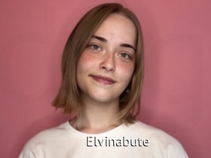 Elvinabute