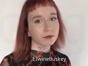 Elwinebuskey