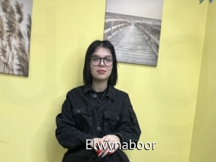 Elwynaboor