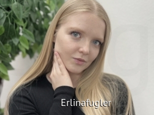 Erlinafugler