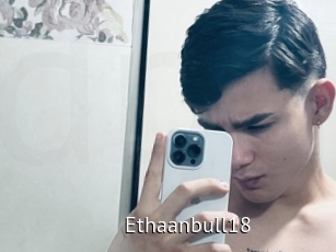 Ethaanbull18