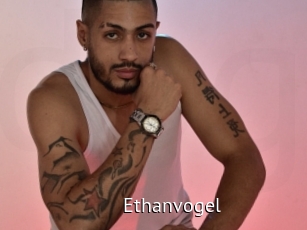 Ethanvogel