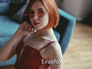 Evaafox