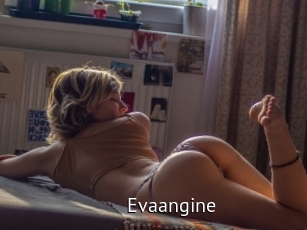 Evaangine