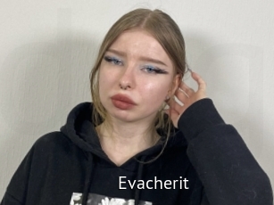 Evacherit