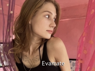 Evamate