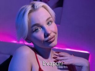 Evapurr