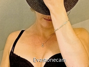 Evastonecam