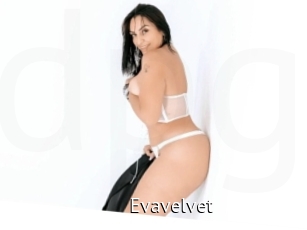 Evavelvet